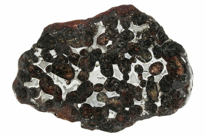 Sericho Pallasite Meteorite ( g) Slice - Kenya #346468